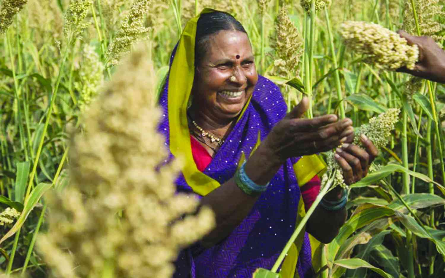 Why agri-input dealers matter more than ever in era of uncertainty
