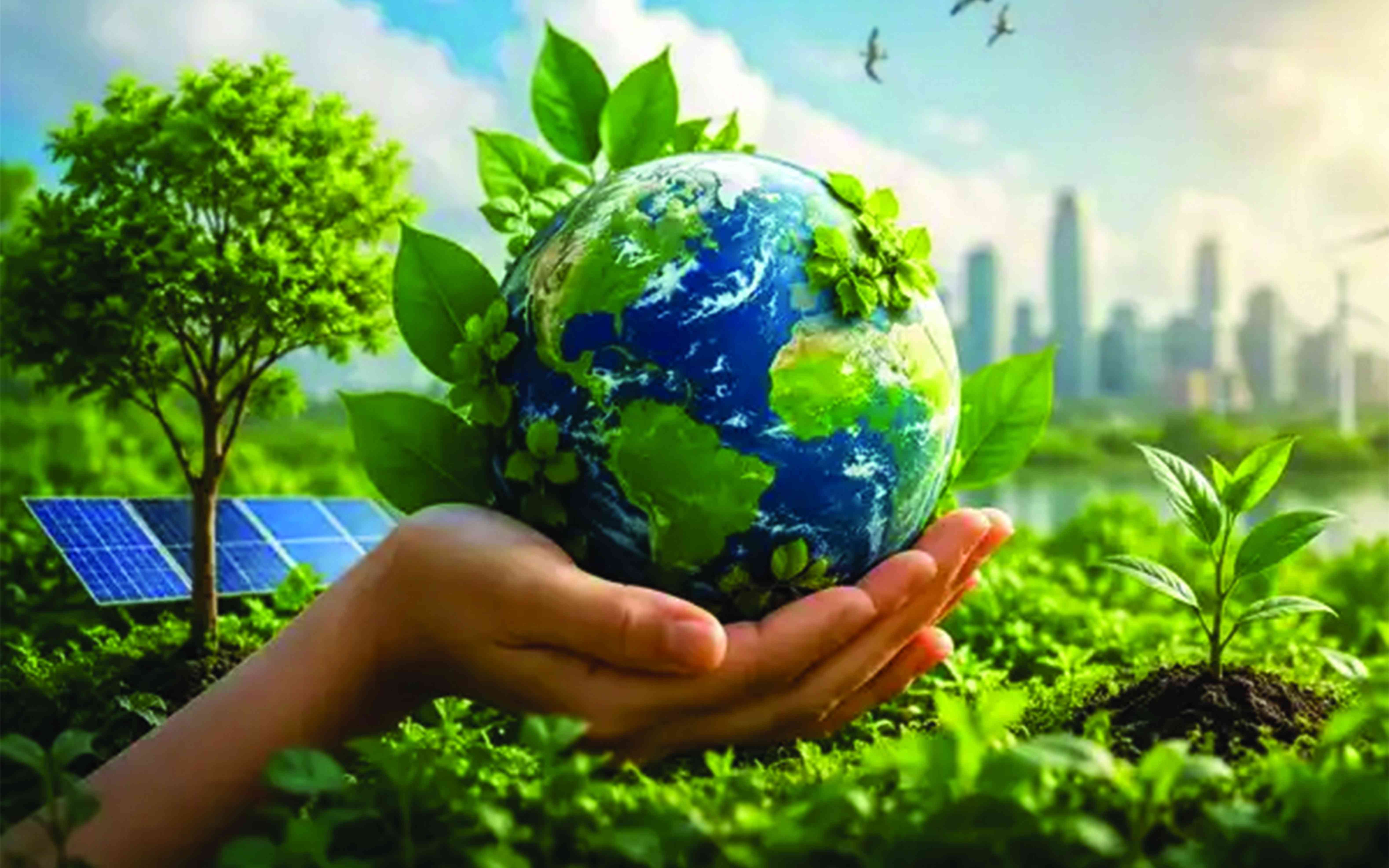 Businesses must start creating environmental solutions