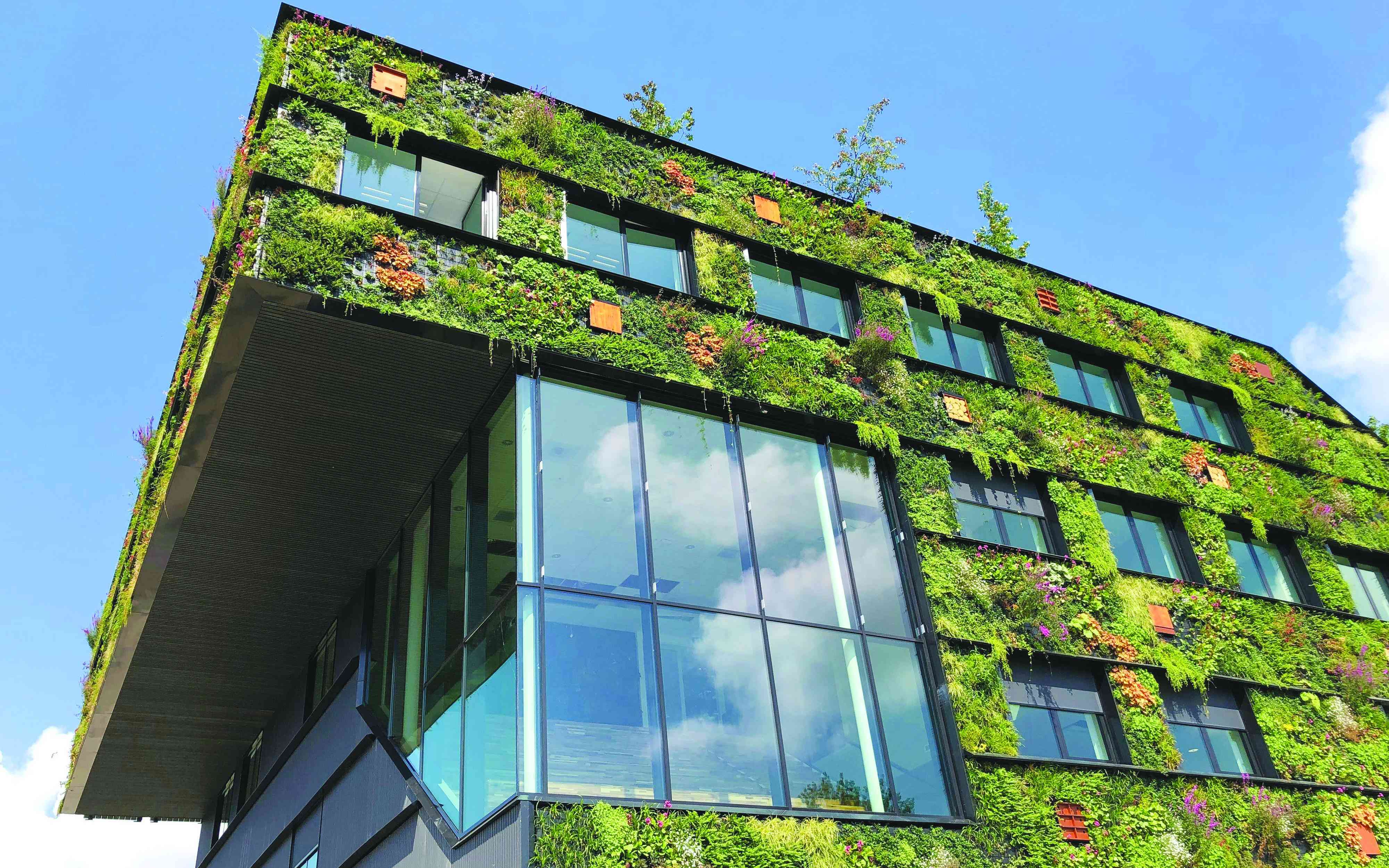 Anchoring fiscal stability through green building