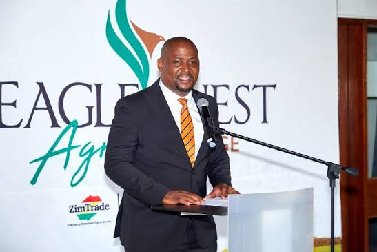 Zimbabwe records surge in value-added exports as trade deficit narrows