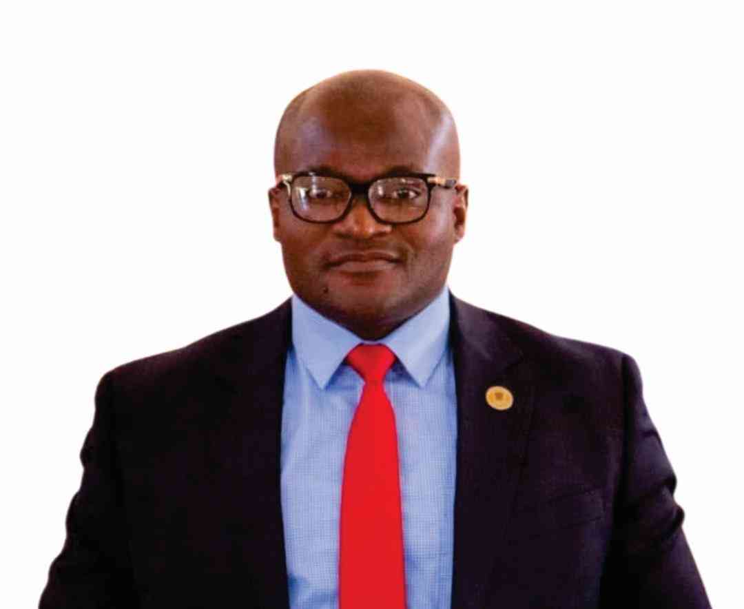Credit ratings, future of urban councils in Zim