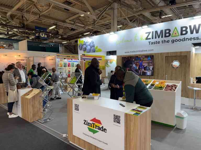 Local firms target Zambian market in export push