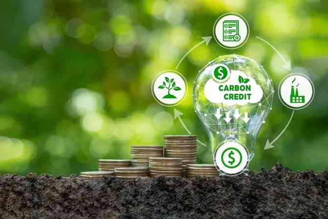 High-integrity carbon markets, local credit ratings urgent for climate finance