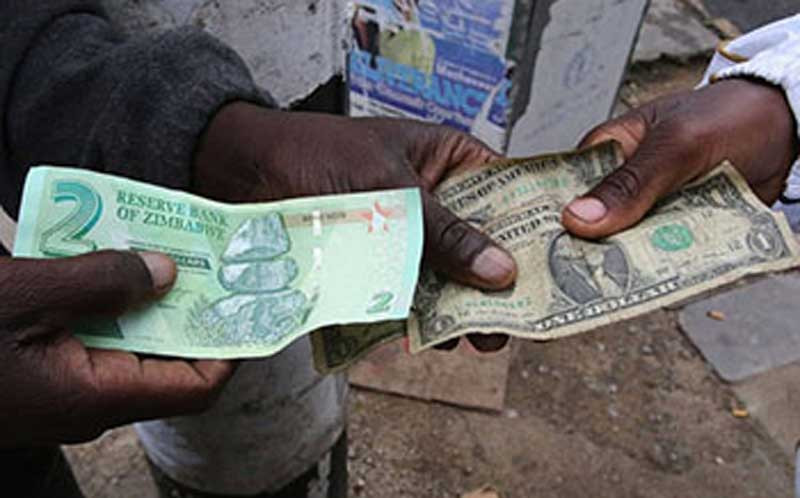 What US$/RTGS balances ruling means