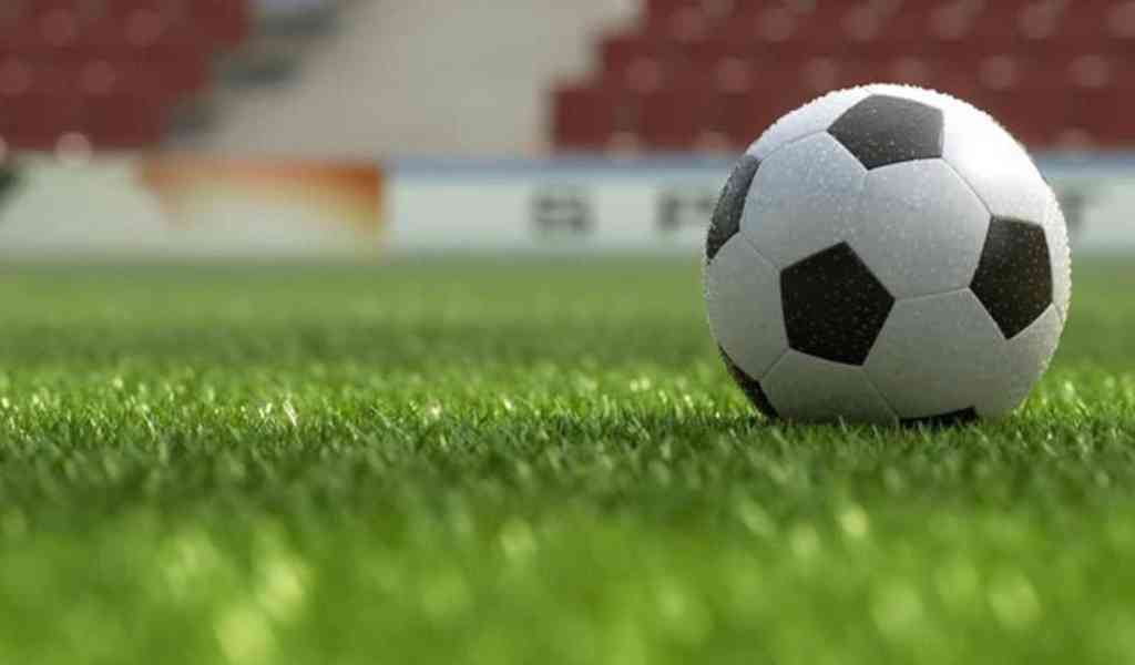 Sheasham, Chicken  Inn share spoils