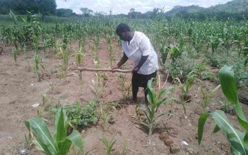Drought, floods, cholera and ailing economy complicate Zimbabwe’s humanitarian crisis