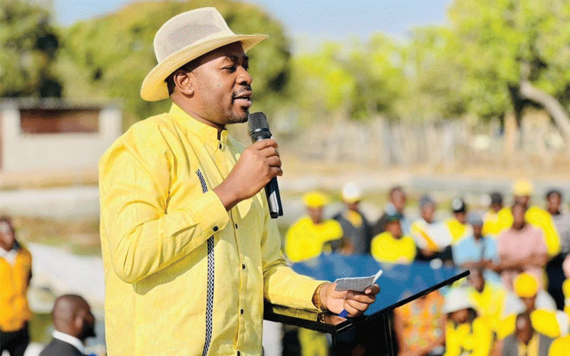 Chamisa rolls sleeves as battle hots up