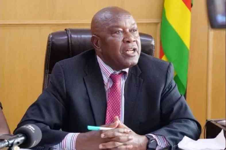 Mutsvangwa’s shock  sacking details emerge