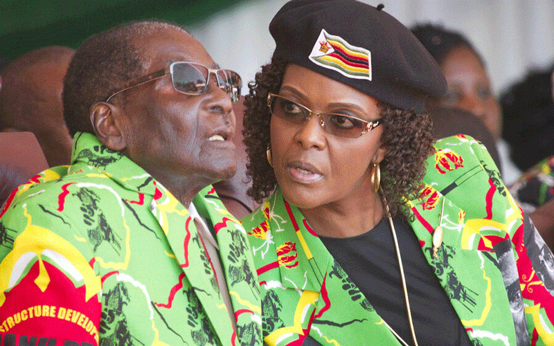 Grace fights to save  Mugabe empire