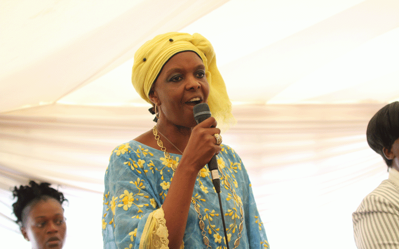 Mnangagwa goes after  Mugabe’s family, relatives
