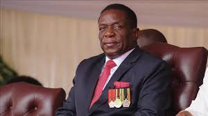 They wanted Mnangagwa  out, says Mutsvangwa