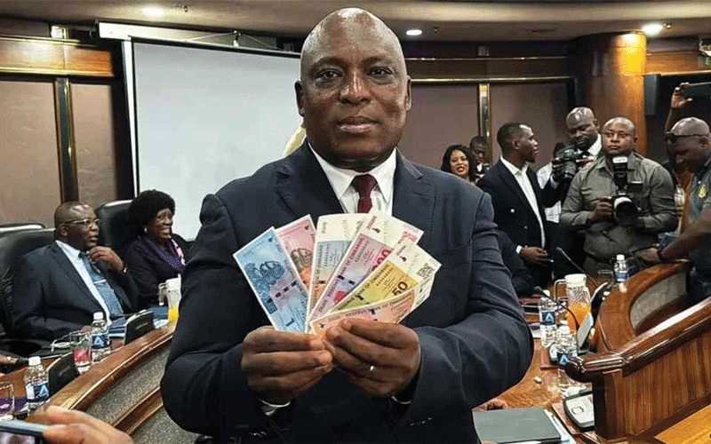 ZiG devaluation causes havoc