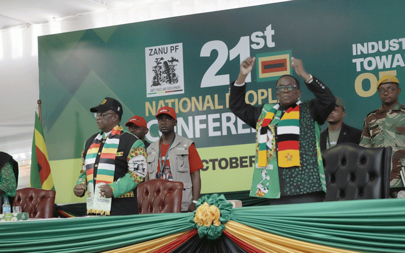 Zanu PF implodes over Mnangagwa 2030 plan