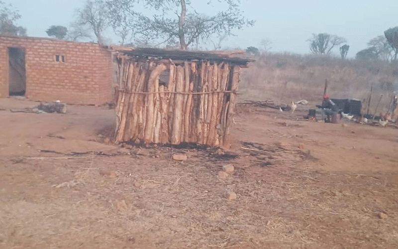 Mystery deepens over ownership of Chiyangwa farm amid mass evictions