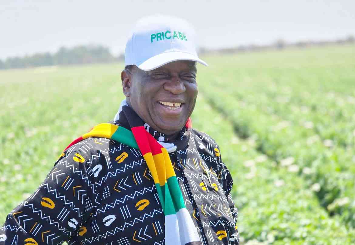 2024: The year Mnangagwa loyalists threw cat among the pigeons with 2030 agenda