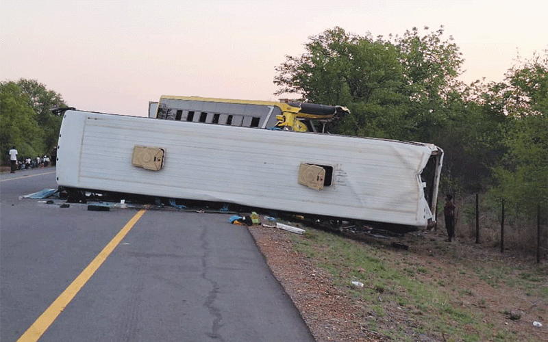 Zim’s bloody end to 2024