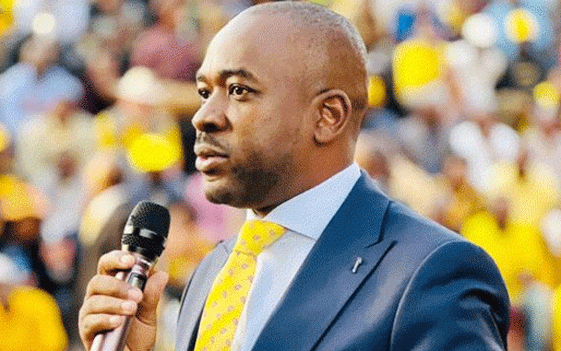Chamisa says stands for MPs part of ED2030 plot