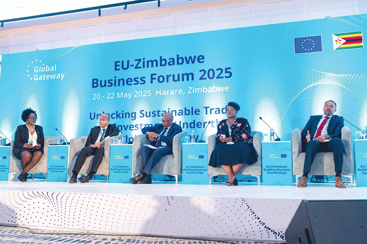Why Zim is missing out on mega EU loans