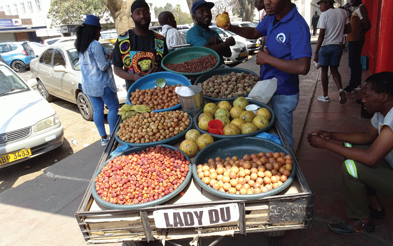 Pushed to the brink: Zimbabwe’s indigenous fruit trees face extinction due to climate change