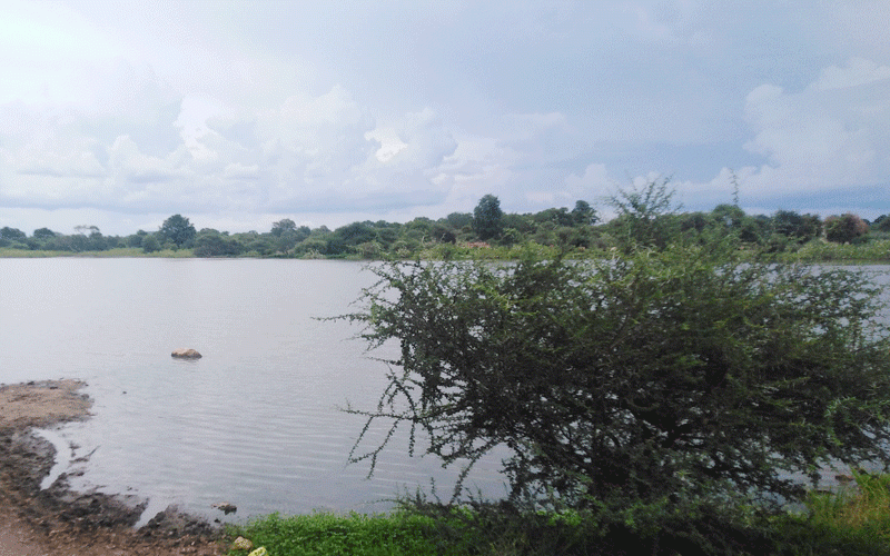 Frustrated Masvingo activists take matters into own hands