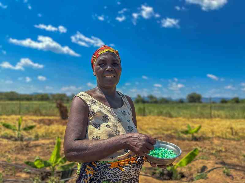 Climate change and disease pandemics: Zimbabwe's urgent imperative
