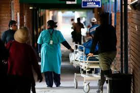 Beyond borders: Navigating healthcare as a Zimbabwean in SA hospitals