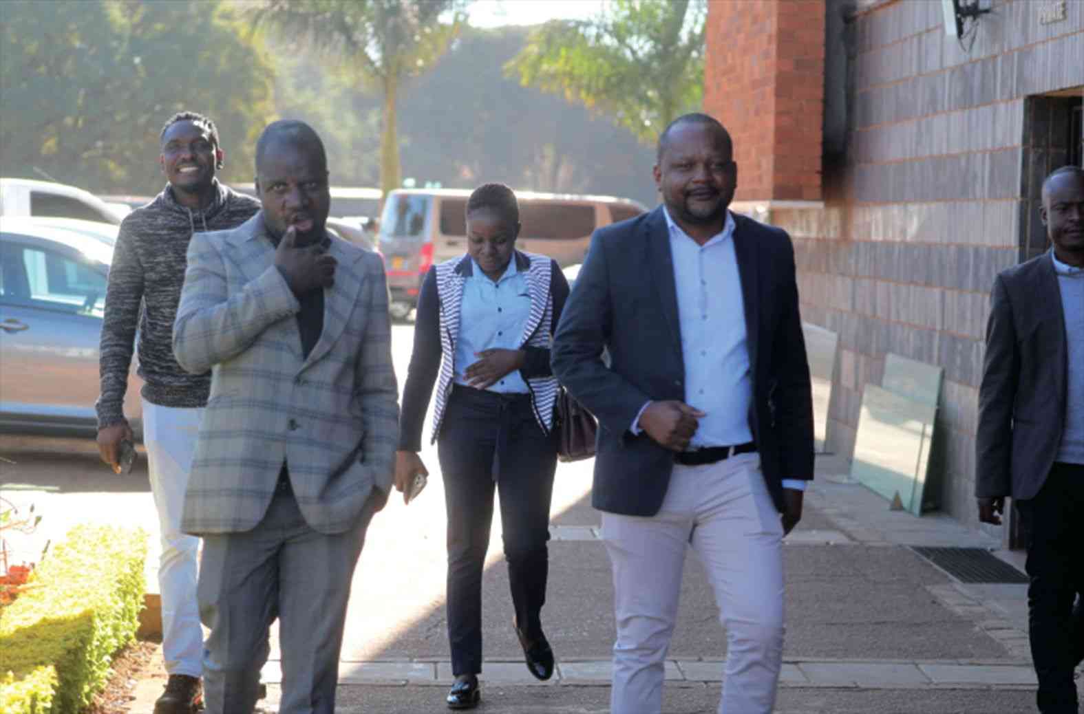 Court blocks AMH bid to stop trial in Mnangagwa insult case