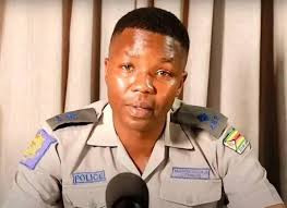 'Rogue' cop back in court