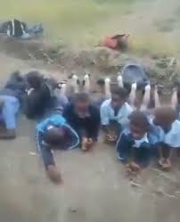 Green fuel, guards sued for vicious attacks on children
