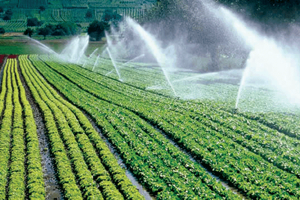 Sustainable pathways to boost food production in Zimbabwe
