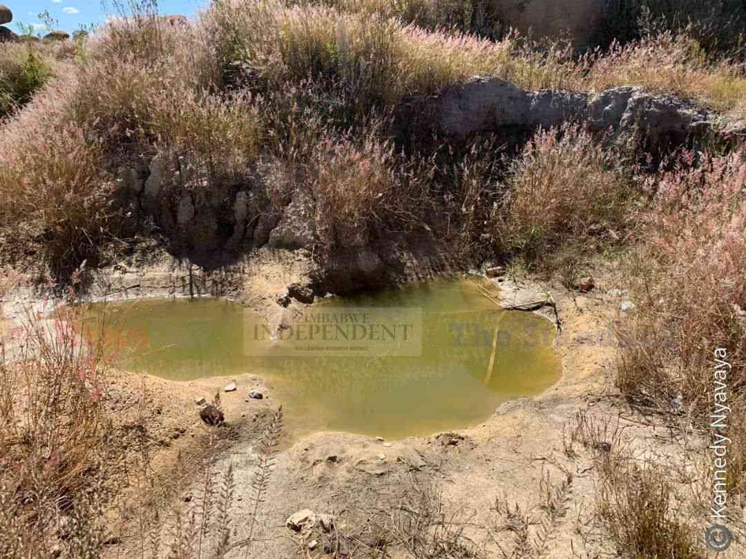 Cleveland wetland destruction: Authorities drag feet as human rights crisis unfolds