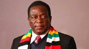 US raises red flag over Zim contracts