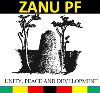 Zanu PF unleashes ‘mbingas’ in one party state push