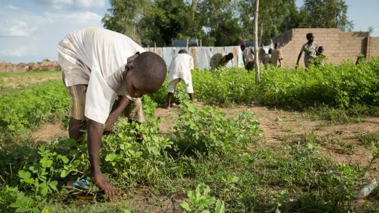 Social protection: Investing in reform and resilience