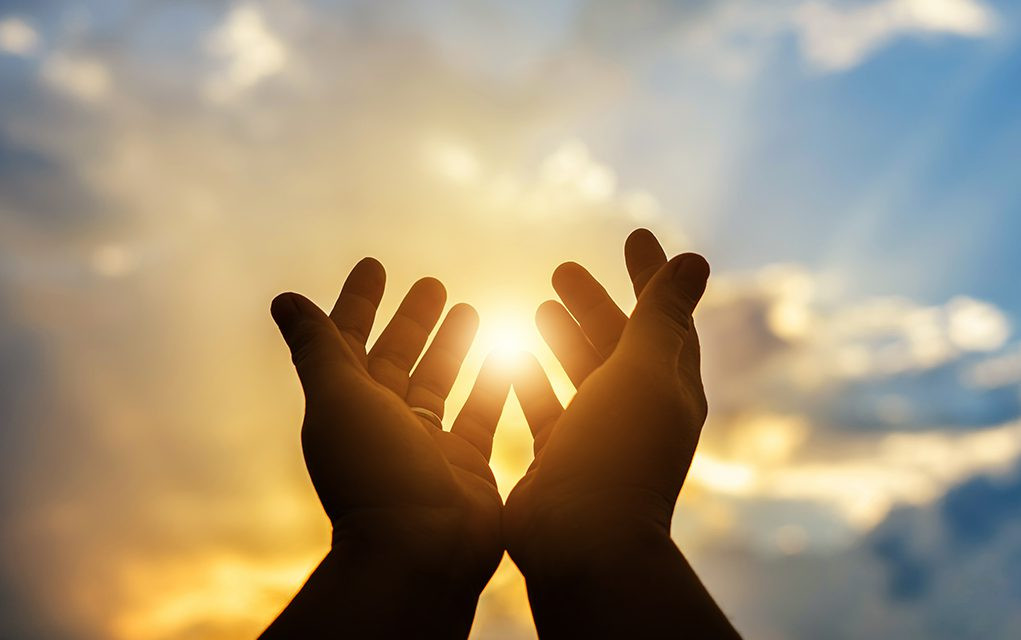 Divine insight: The weight of unfulfilled prophecy: Zim shall rise again