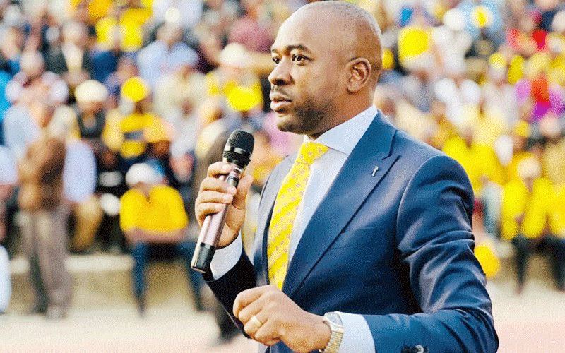 Chamisa loyalists outline new ‘roadmap’