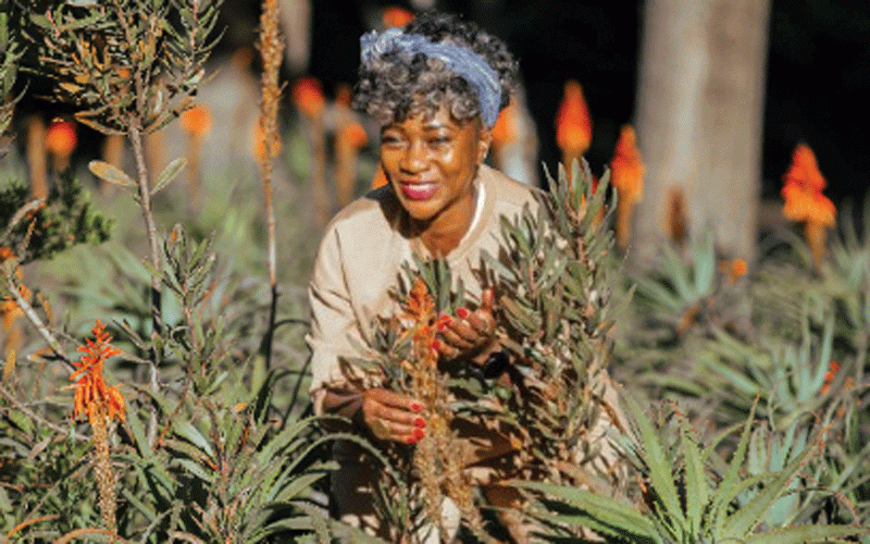 The heart of the matter: The world’s greatest destination is our own backyard