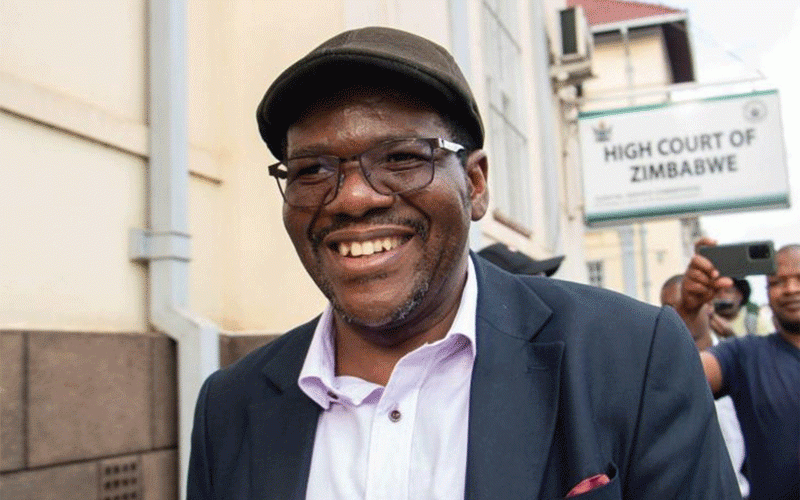 Mnangagwa’s 2030 divides Tshabangu group