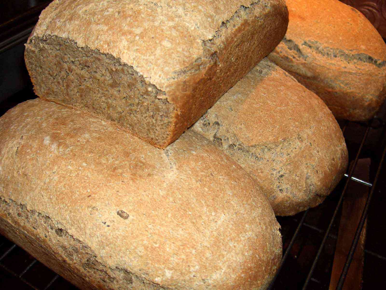 The cost of bread gained by deceit: A Biblical perspective on corruption and provision