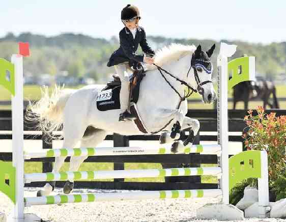 Zim showriders target Nations Cup triumph against world’s best