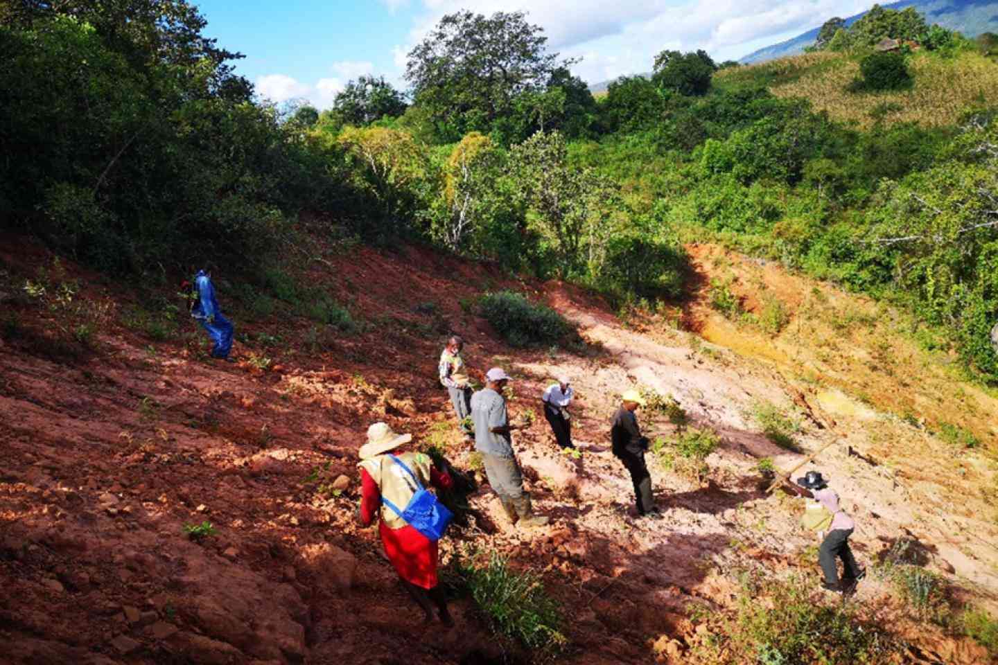 Investing in the environment  is investing in humanity