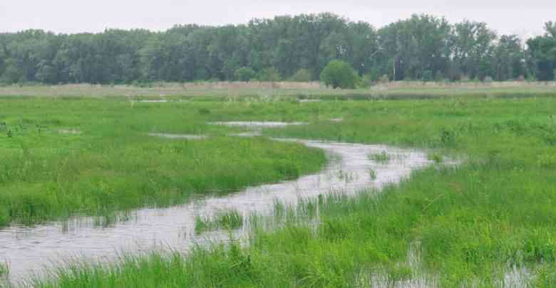 Harare residents bid to block mega project on wetland