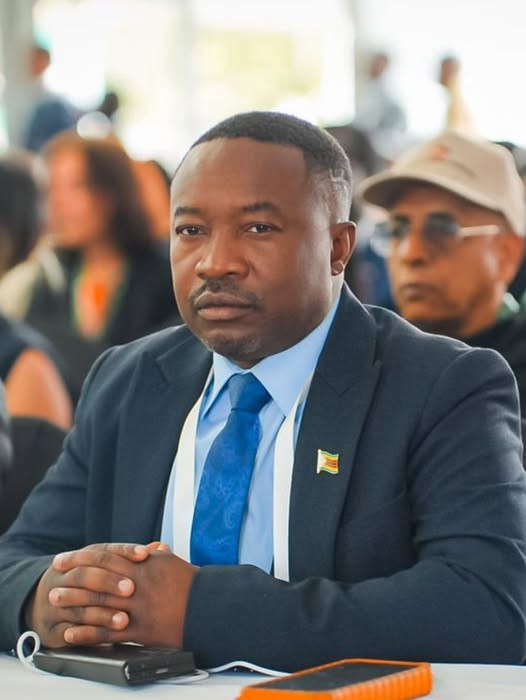 Harare billboard revenues raise eyebrows