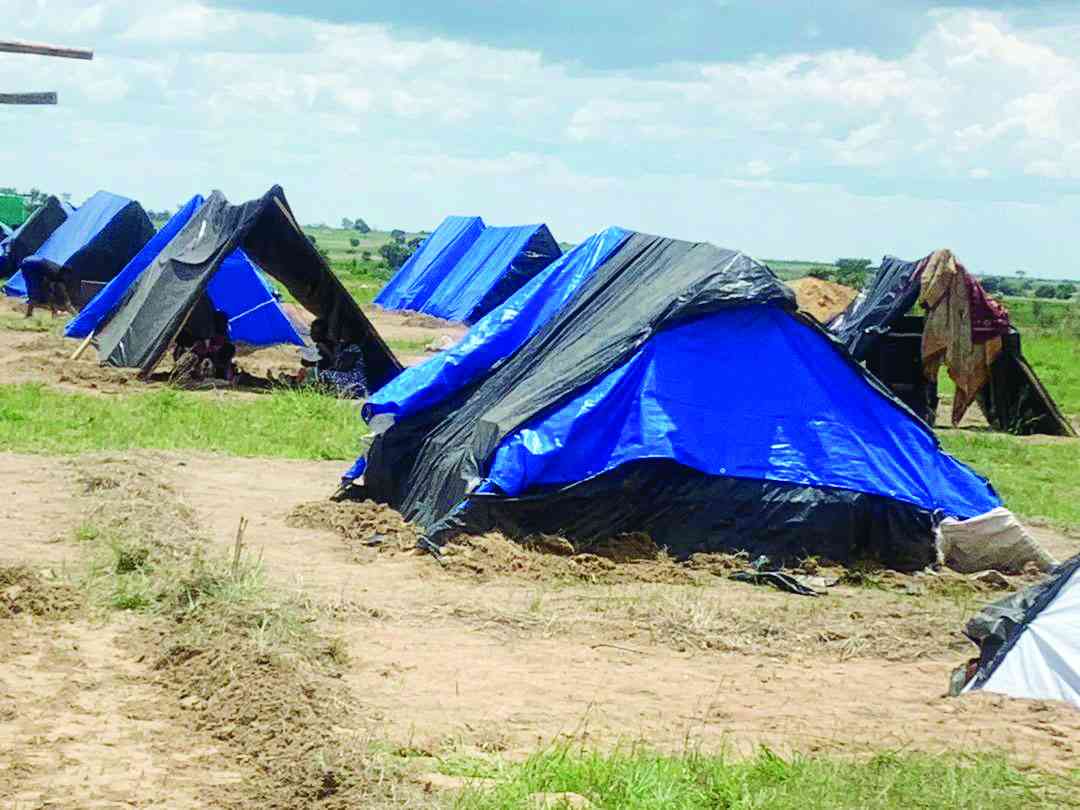 From frying pan to fire: Evicted Nyabira  families now living in dire conditions