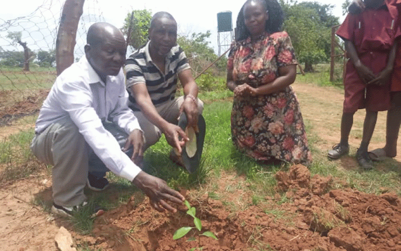Sangoma donates trees to school