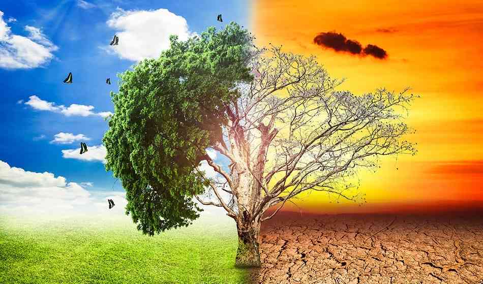 How Zimbabwe can create an enabling environment for climate adaptation