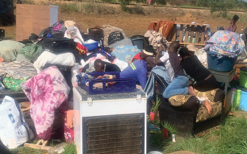 Stranded Zvimba families blame their plight on corrupt Zanu PF, government bigwigs
