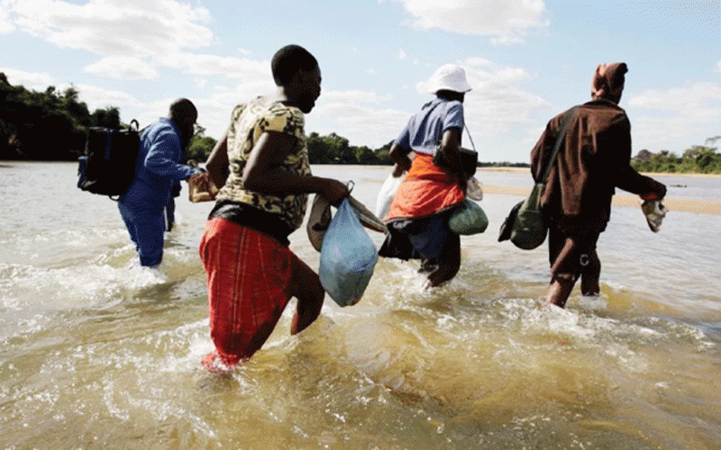 Why Zimbabweans risk life and limb to enter SA
