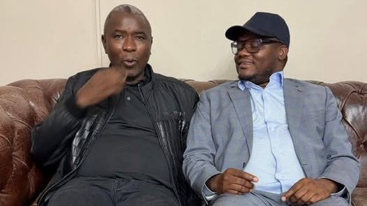 Moneybags seen dictating Mnangagwa succession