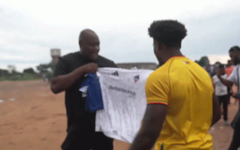 How Zanu PF tried to hijack IShowSpeed’s Zimbabwe tour